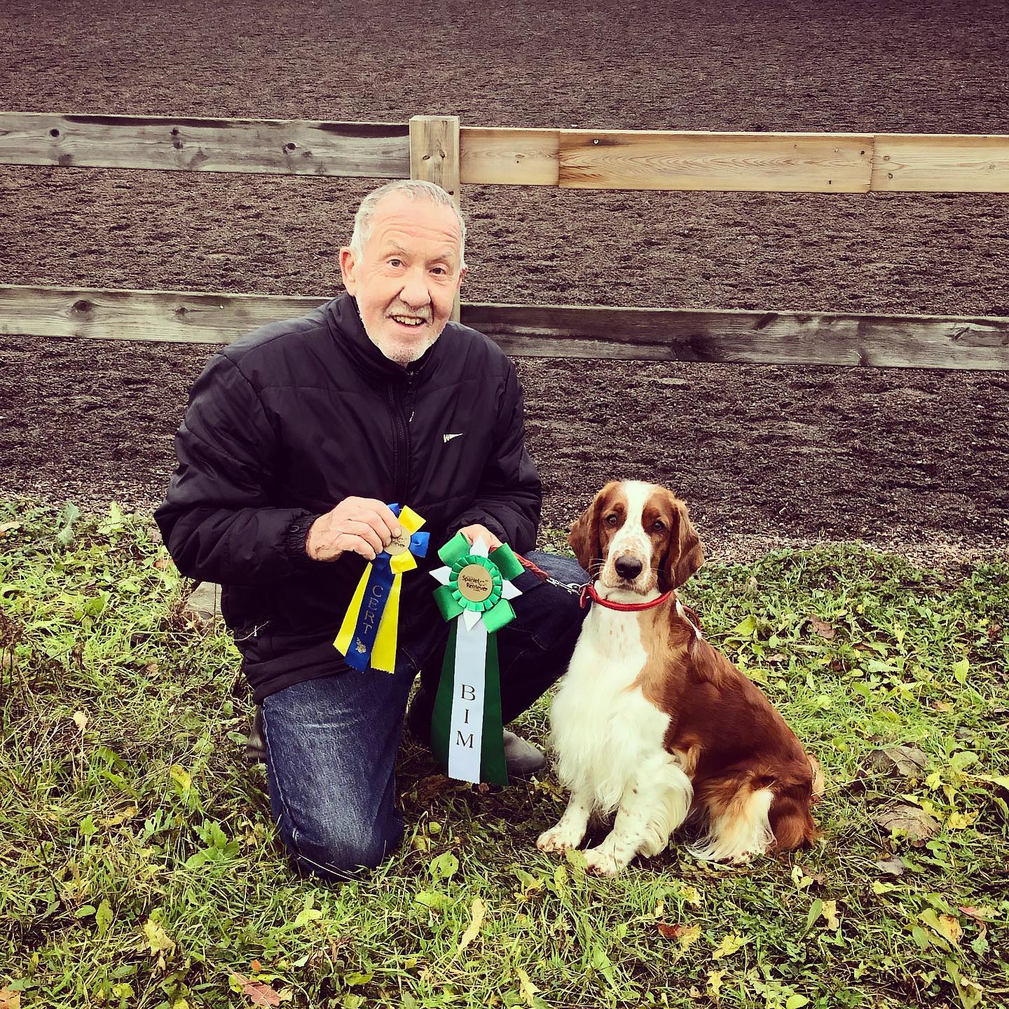 Wallovas Madonna (Mollie)