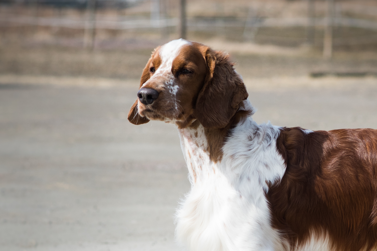 Eastfarm's Youth Gone Wild