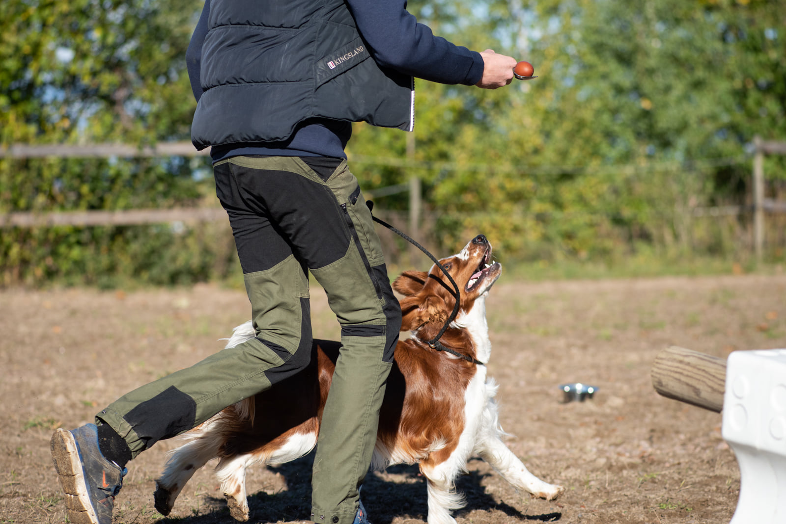 Kennelträff - Kennel Wallova Oktober 2020