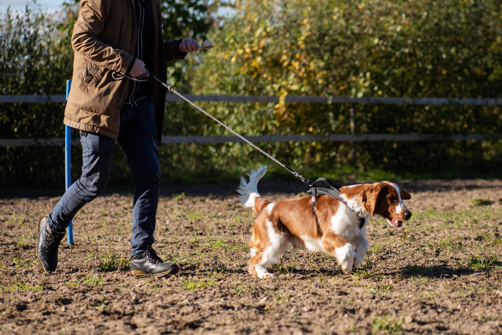 Kennelträff - Kennel Wallova Oktober 2020