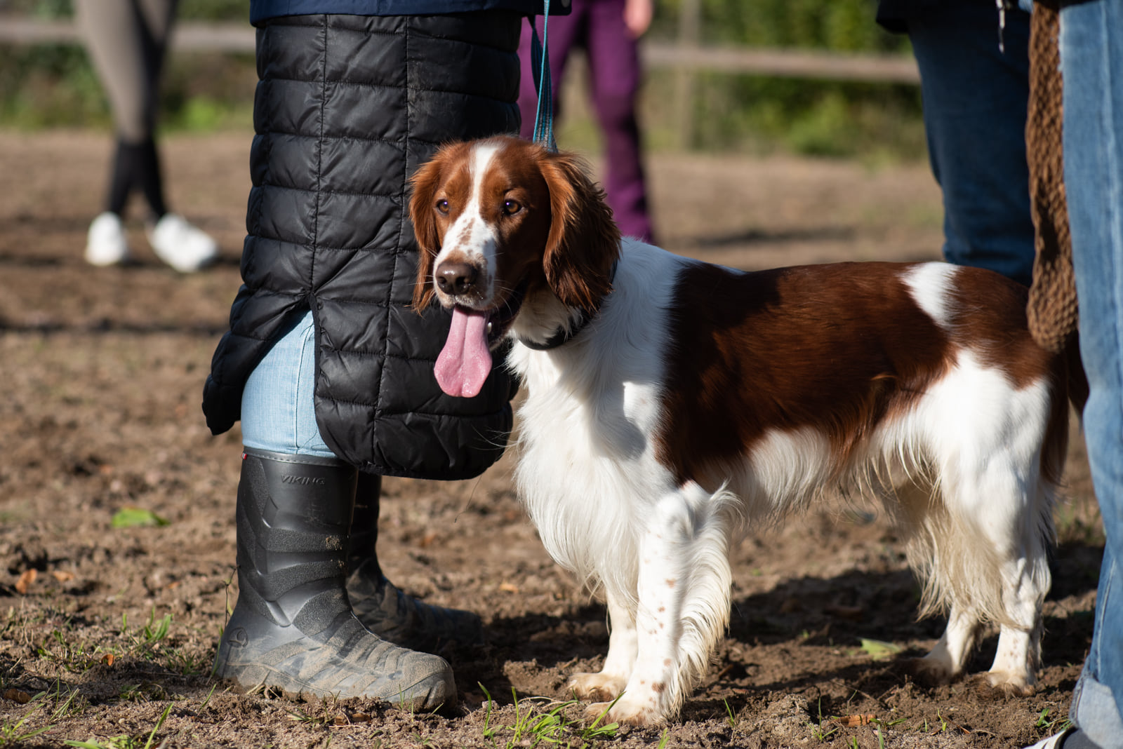 Kennelträff - Kennel Wallova Oktober 2020