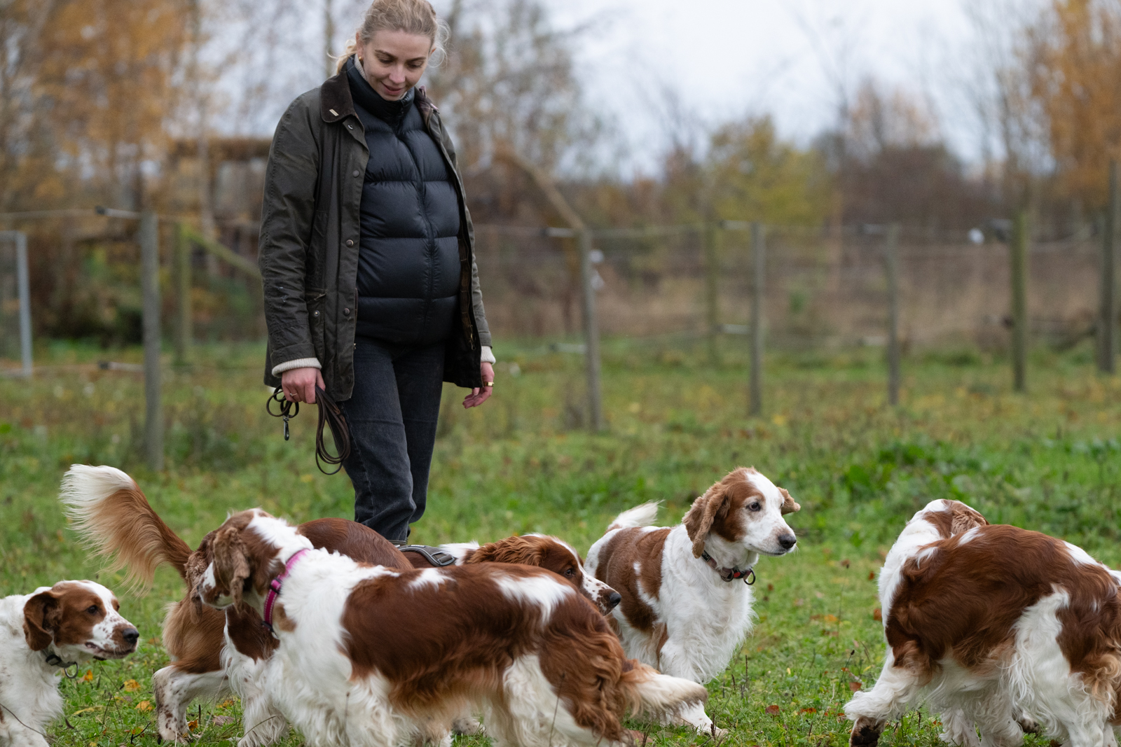 Kennel Wallova - Kennelträff 2025