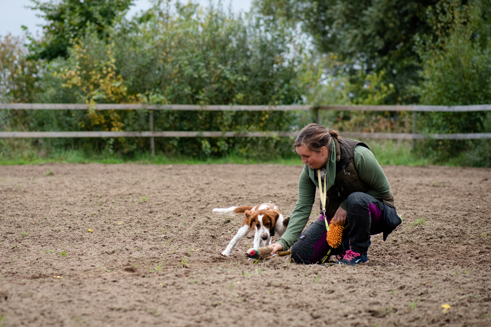 Valpträff - Kennel Wallova