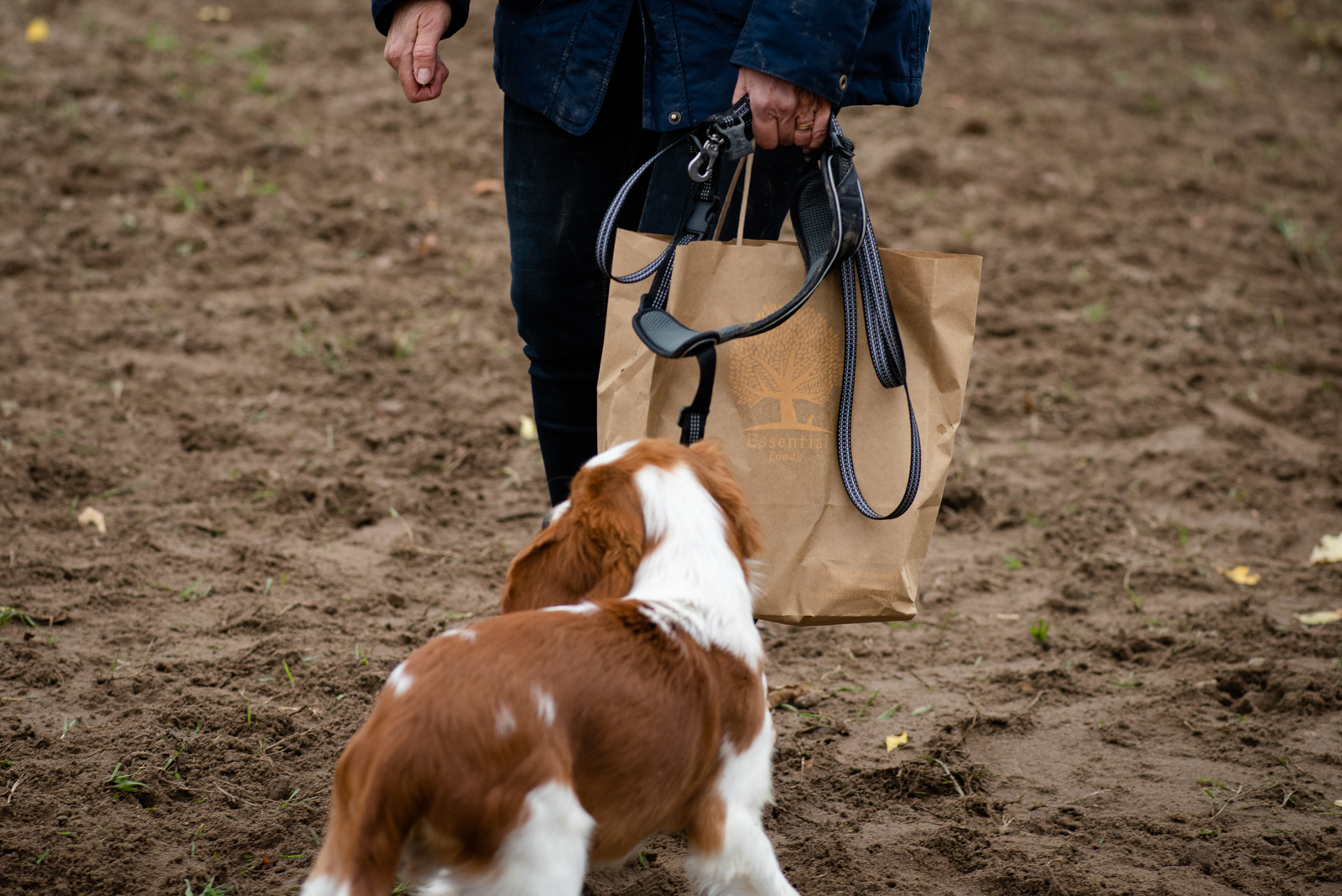 Valpträff - Kennel Wallova