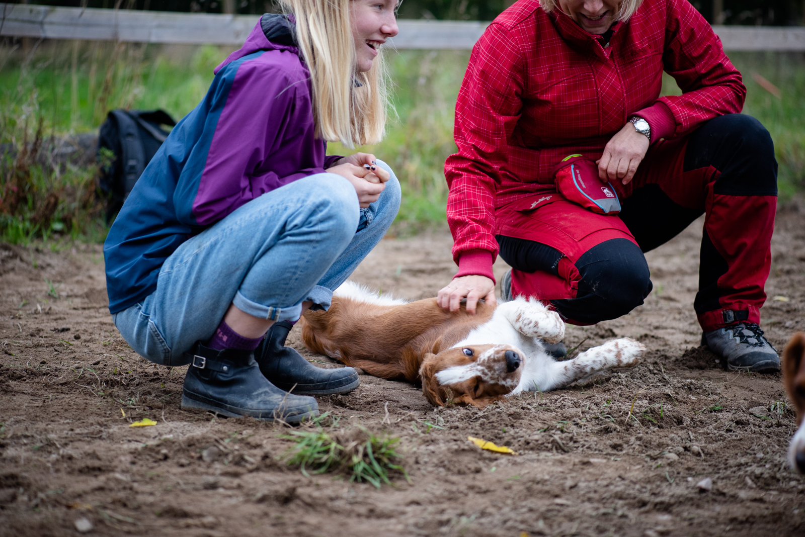 Valpträff - Kennel Wallova
