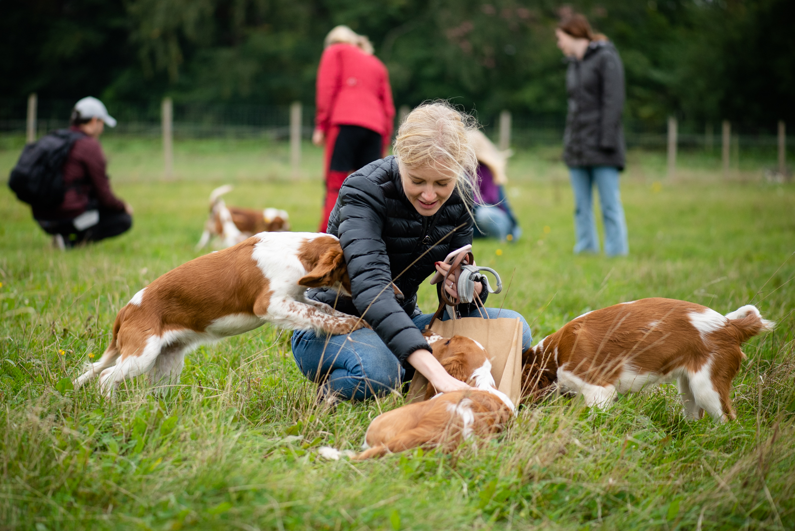 Valpträff - Kennel Wallova