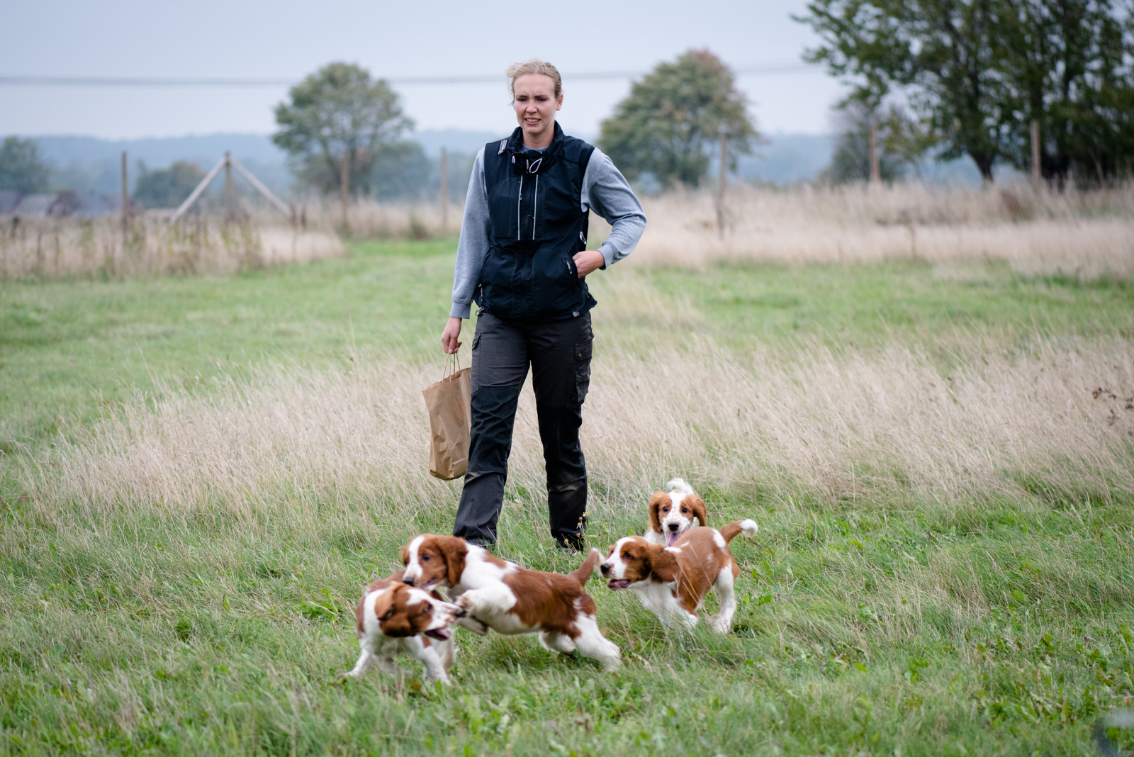 Valpträff - Kennel Wallova