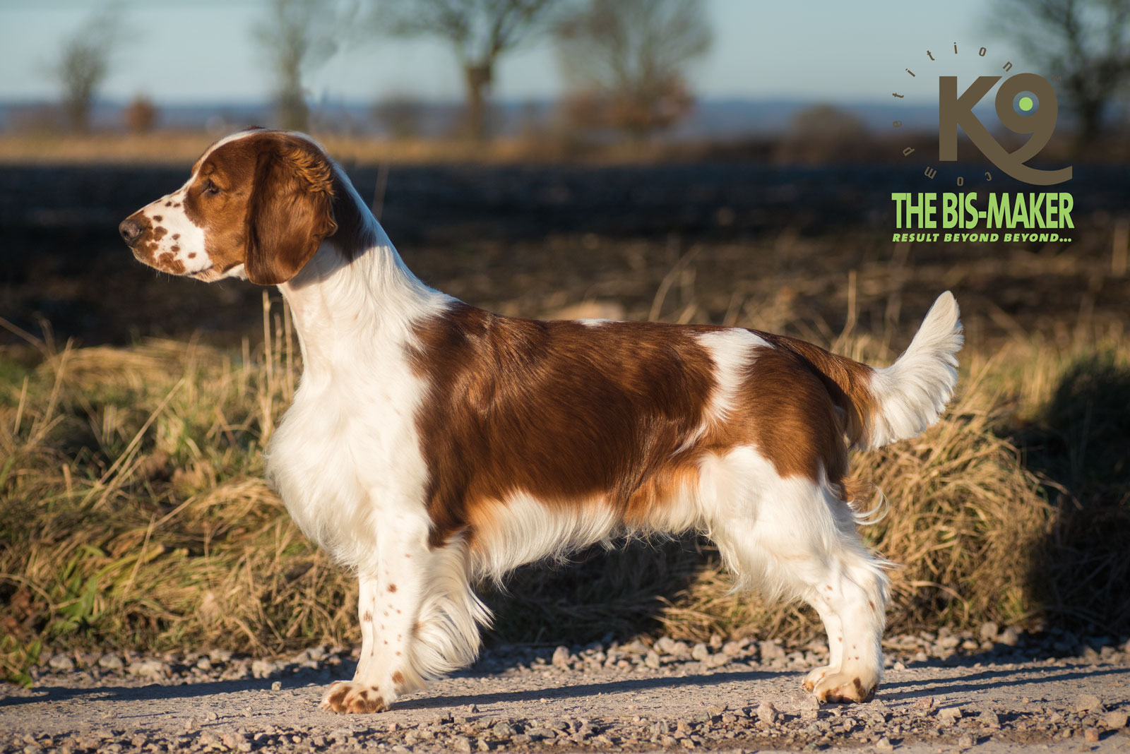 Gibson, Eastfarm's Zachary