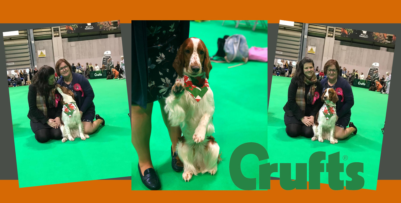 Wallova at Crufts 2019